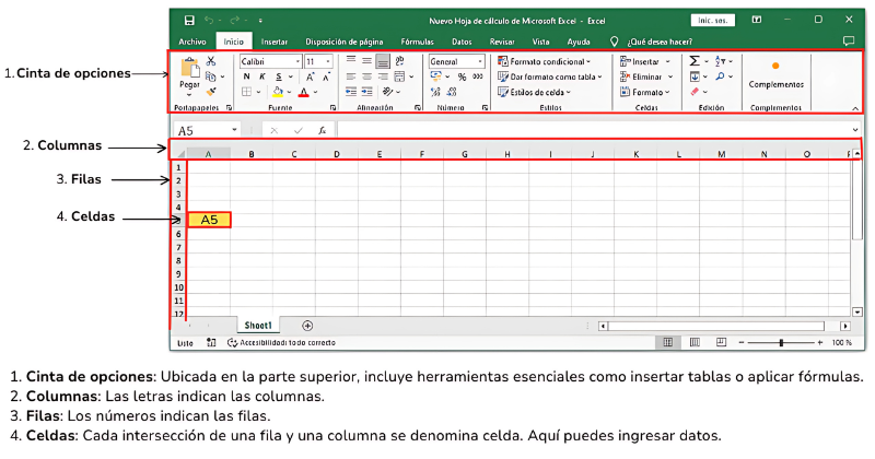 Captura de pantalla de la interfaz de Excel mostrando las partes principales: cinta de opciones en la parte superior, columnas identificadas por letras, filas identificadas por números y una celda resaltada (A5).